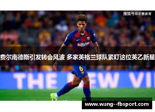 费尔南德斯引发转会风波 多家英格兰球队紧盯这位英乙新星