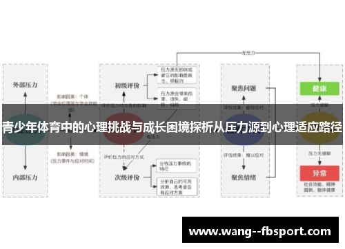 青少年体育中的心理挑战与成长困境探析从压力源到心理适应路径