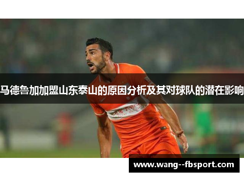 马德鲁加加盟山东泰山的原因分析及其对球队的潜在影响